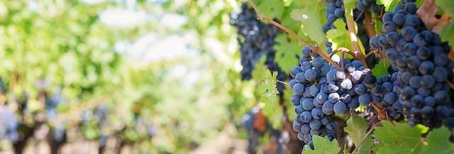 秋思电话轰炸平台